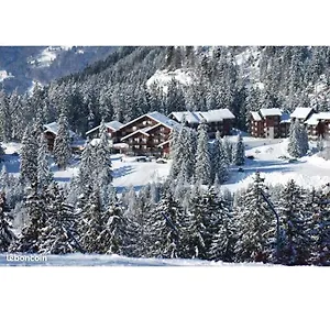 https://studio-au-pied-des-pistes-avec-une-vue-sur-la-montagne.hotels-rhonealpes.com